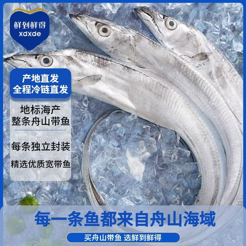鲜到鲜得 鲜冻舟山带鱼3.6斤(11-13条) 带鱼整条 海鲜水产 生鲜 源头直发
