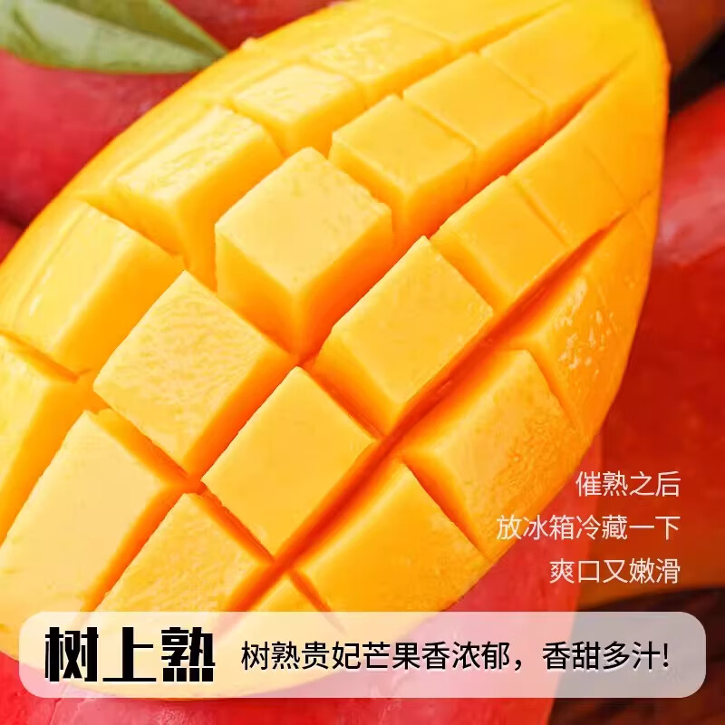 麦知鲜正宗海南贵妃芒新鲜树上熟【多地隔日达】皮薄多汁时令水果大芒果 5斤【香甜爆汁-手挑果|单果100-150克】净重4.5斤