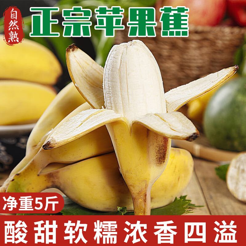 京鲜生广西西贡苹果蕉 净重5斤 单果80g起 新鲜水果 源头直发