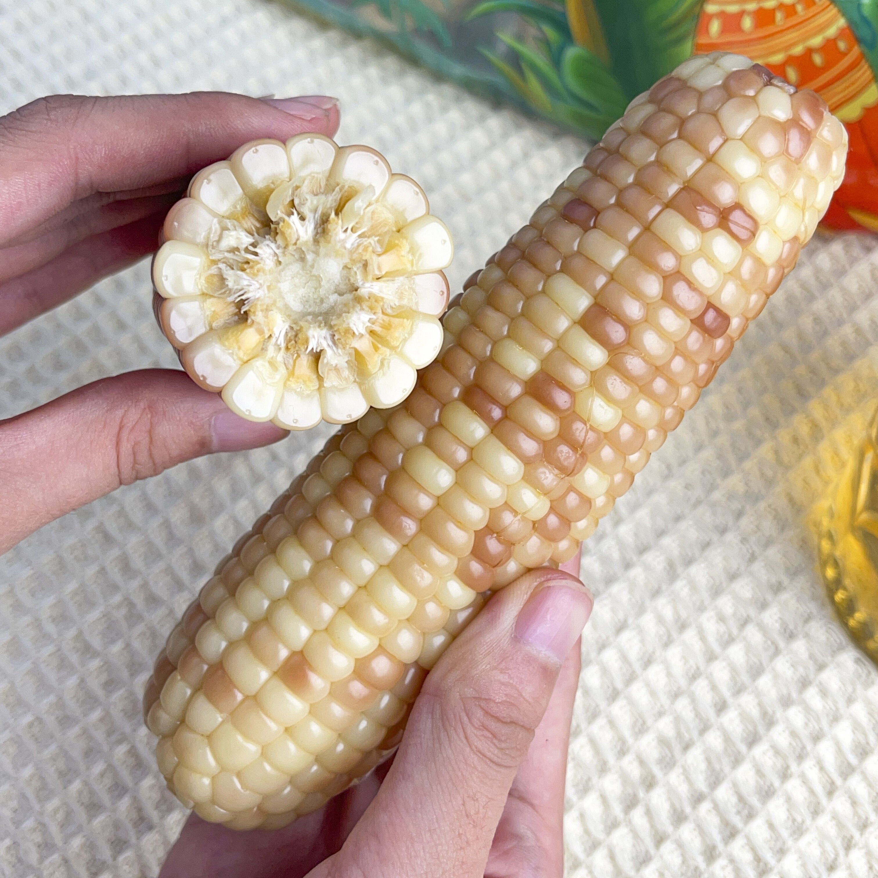 彩云之南西双版甜糯玉米开袋即食减低脂糯玉米真空包装早餐代餐 西双版纳香糯甜玉米1公斤/袋（5根左右）