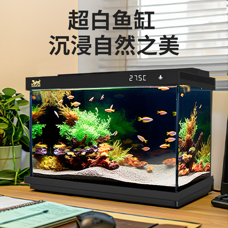 ɭɭ���볬��������� 480 ���������� ������������Ĥ ιʳȦ