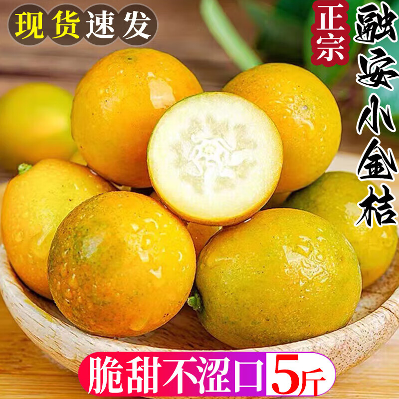 广西融安滑皮小金桔新鲜水果脆甜滑皮小蜜柑应当季橘子整箱 5斤中果
