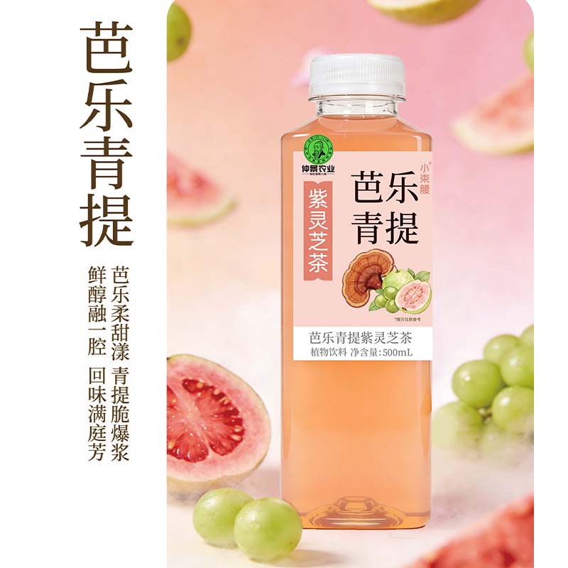 仲景小束腰粉芭乐青提果汁紫灵芝茶植物饮料500ml便携装 粉芭乐青提 5瓶 京东折扣/优惠券