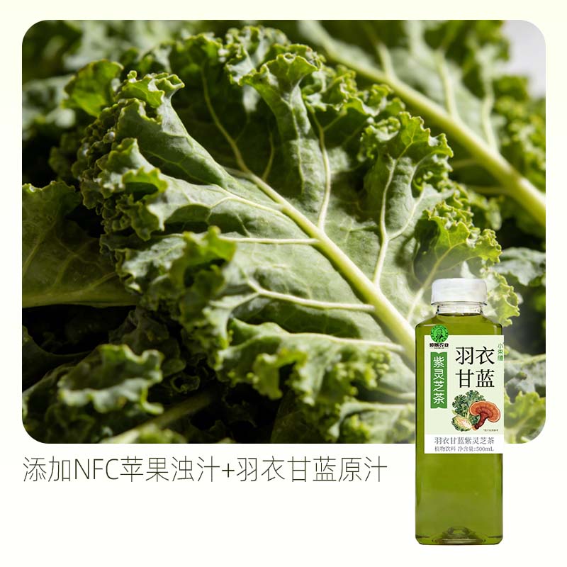 仲景小束腰羽衣甘蓝果汁紫灵芝茶植物饮料500ml便携装 羽衣甘蓝 5瓶