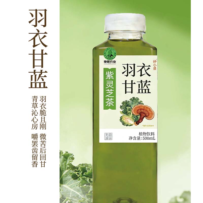 仲景小束腰羽衣甘蓝果汁紫灵芝茶植物饮料500ml便携装 羽衣甘蓝 5瓶