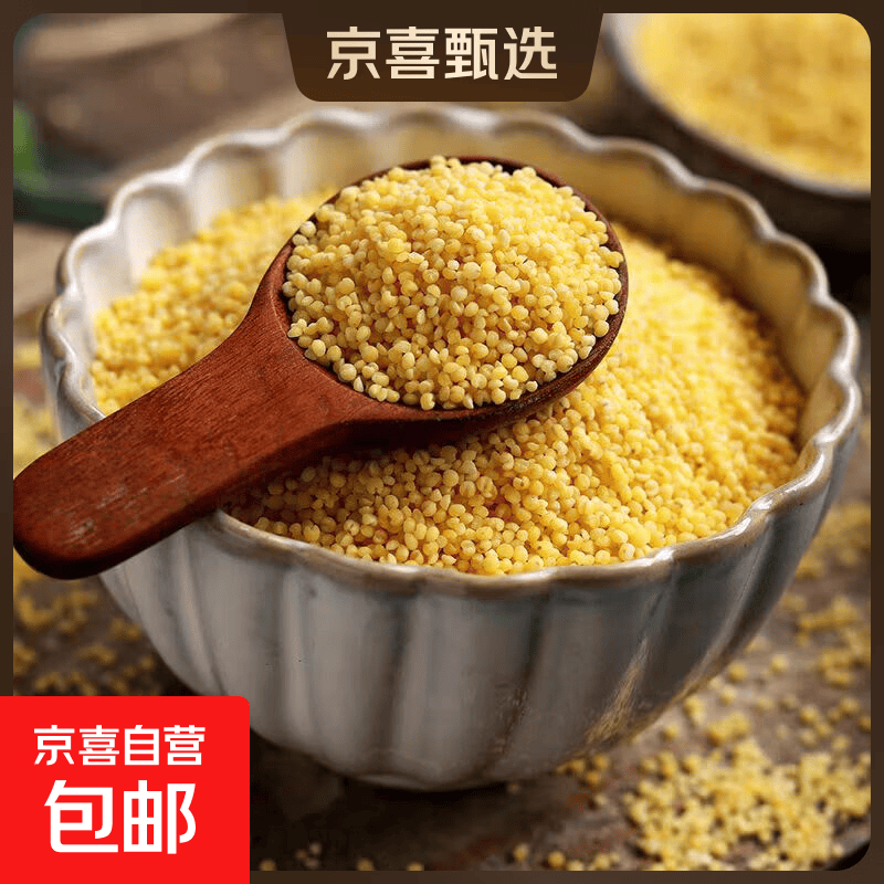 黄小米 月子米小米粥新米五谷杂粮香糯新米油小米 黄小米500g*1袋