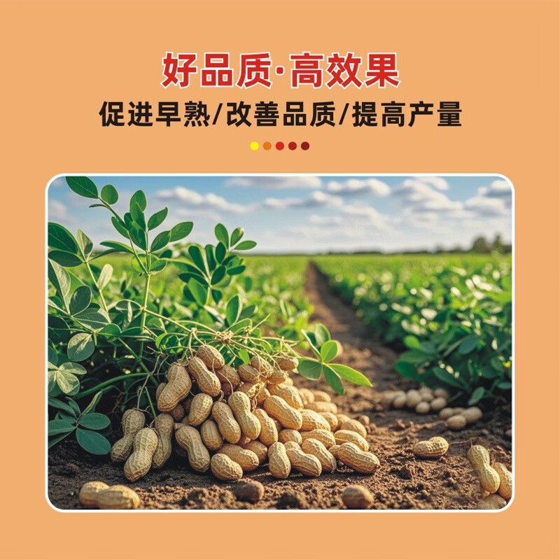 垄颖【花生底肥宝】花生种植专用改善土壤提高免疫力快速吸收中量元素 花生增产肥【1袋】正品保障