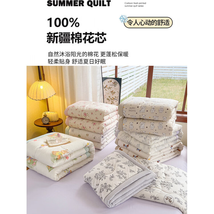 春夏款空调被夏凉棉全棉可机洗子2026芯学生宿舍春秋夏 好丽友【双层纱面料/棉花填充】 双人尺寸200x230cm春秋薄被