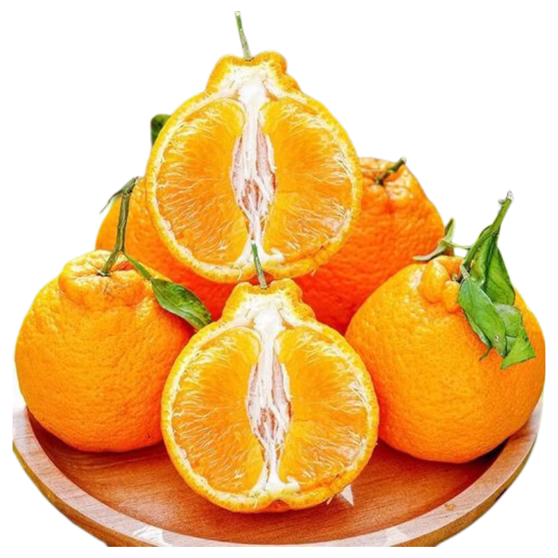 ������� �����Ĵ���֪����� �й� ����2�� ���ʰ� 1.9Ԫ