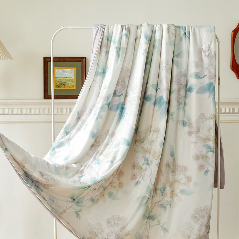 春夏款空调被A类凉感冰丝夏凉夏季单人薄子冷气双人可机洗夏 夏花绿 双人夏被：200x230cm【约2.8斤】