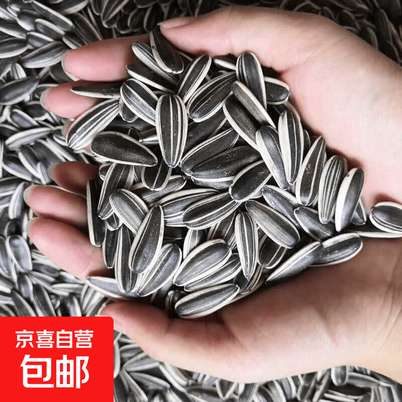 五芳欢禧礼袋粽肉粽100gx4只