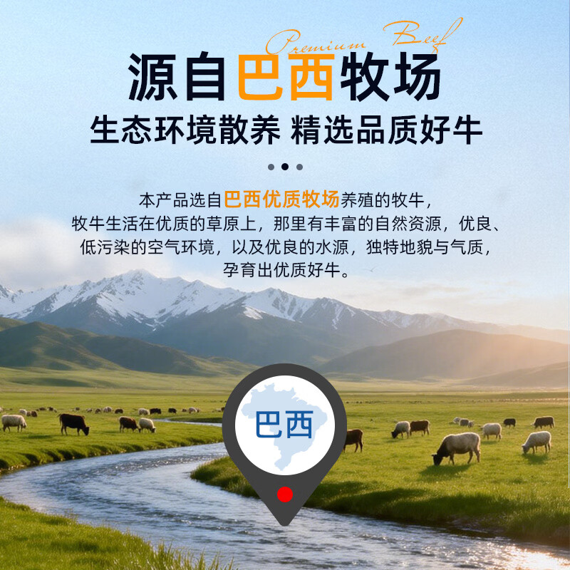 沃典进口原切肥牛片 生鲜牛肉冷冻新鲜牛肉片 火锅涮煮烧烤食材 原切肥牛卷500g*2