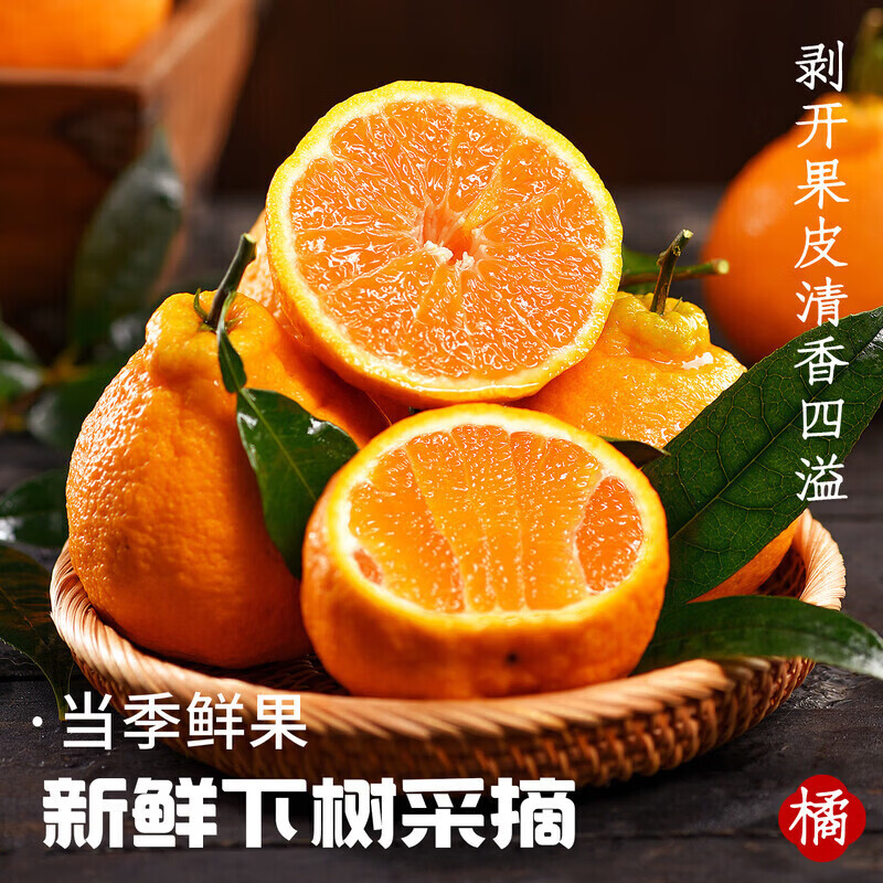 果食鲜丰四川不知火丑橘柑橘丑柑丑桔子新鲜水果整箱现摘现发当季时令水果 净重4.5-5斤精品果【70-75mm】