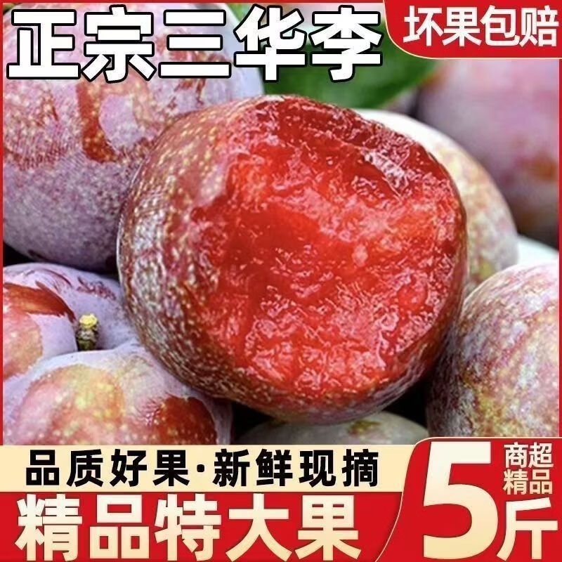 名绩信宜钱排三华李新鲜 当季水果 脆甜红心李子当季酸孕妇水果现摘 净重果5斤