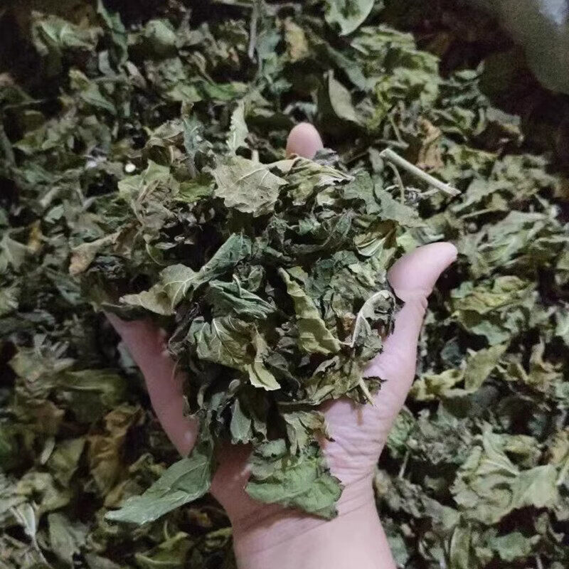 内廷上用桑叶药材桑叶干桑叶泡水喝霜打霜后霜桑叶茶散装桑树叶 桑叶250克+玉米须250克 250g*2袋