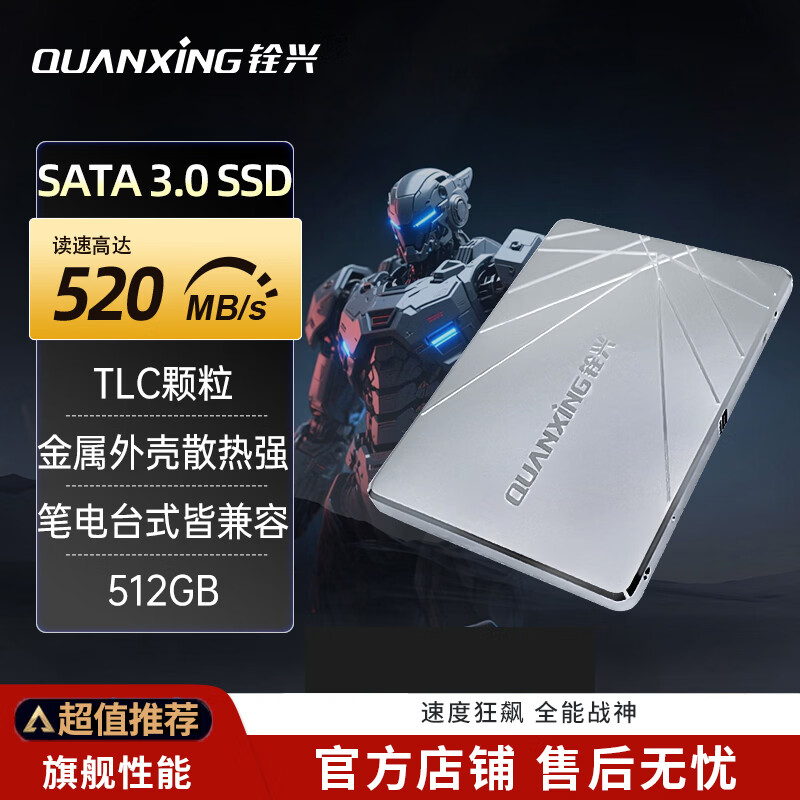 铨兴（QUANXING）SSD固态硬盘 2.5英寸SATA3.0接口 S101系列sd电脑pc台式机笔记本nas存储服务器固态盘游戏盘系统盘 SATA S101系列 512G