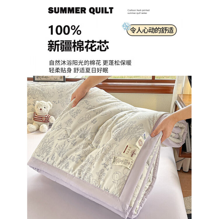 春夏款空调被夏凉棉全棉可机洗子2026芯学生宿舍春秋夏 好丽友【双层纱面料/棉花填充】 双人尺寸200x230cm春秋薄被
