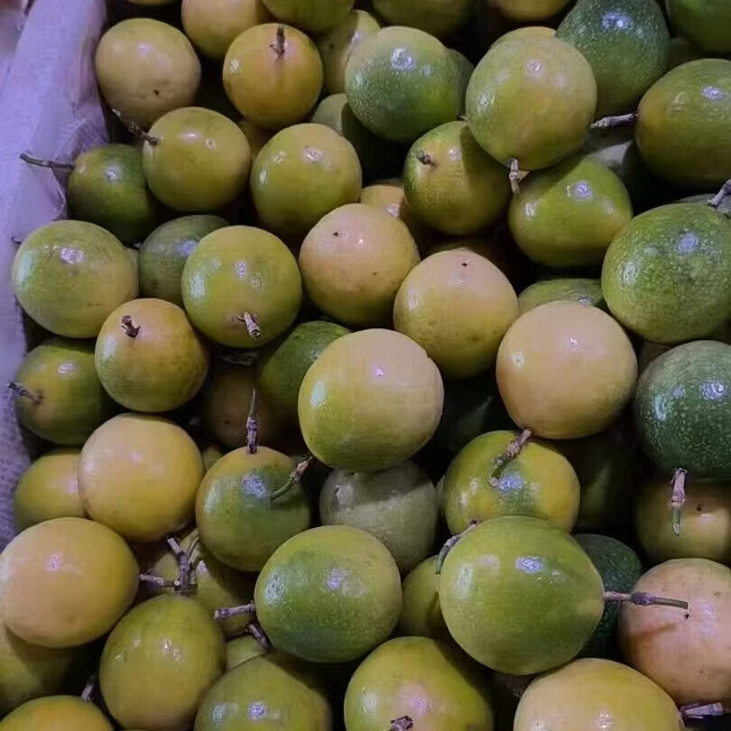 百香果  黄金百香果  广西百色百香果  钦蜜九号   一箱9斤装 中大果