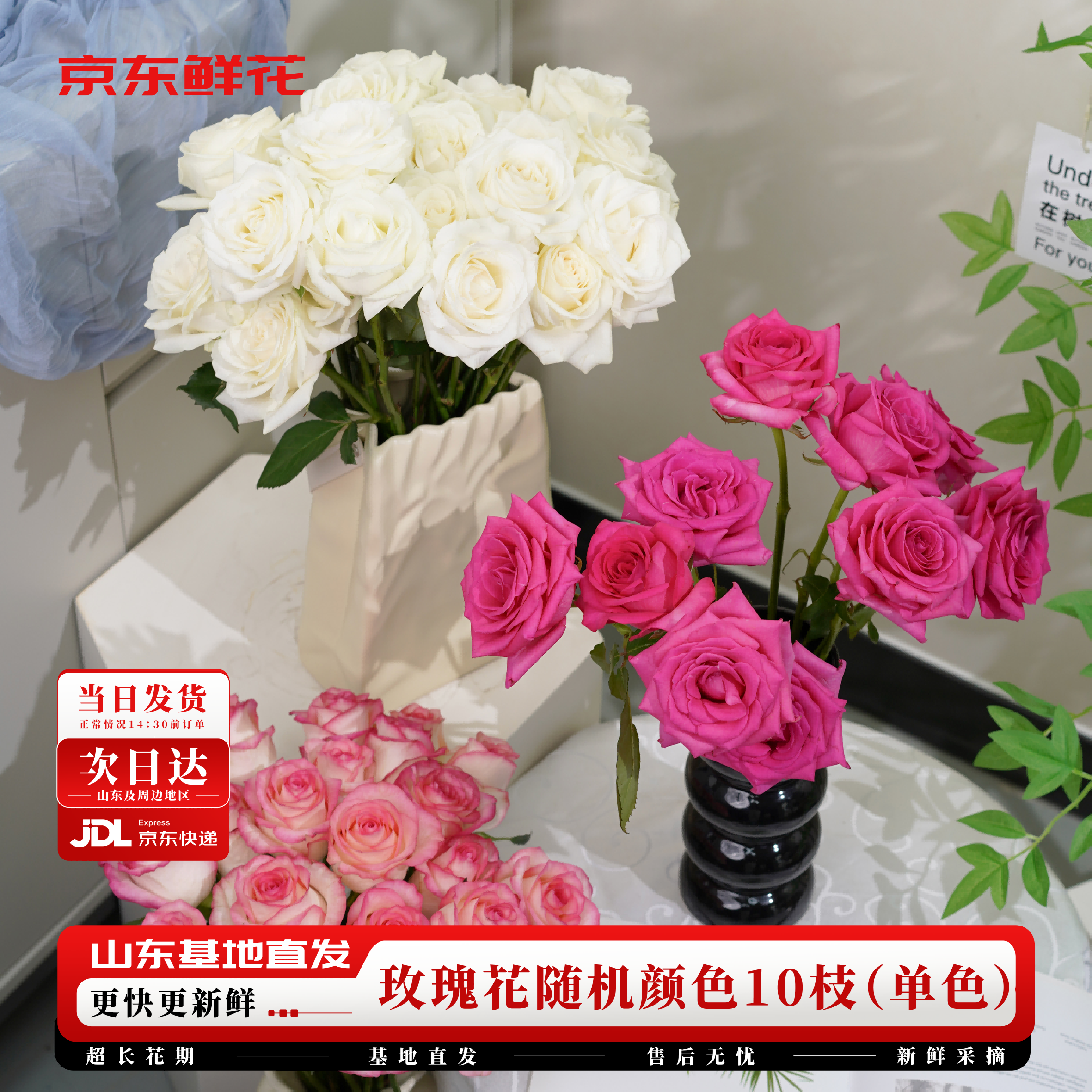 京东鲜花随机玫瑰10枝鲜切花(40-45cm)基地直发礼物花束日常养护源头直发