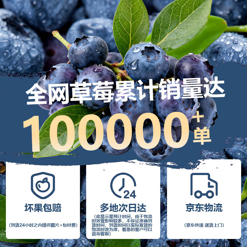 宗靖鲜云南花香蓝莓新鲜果【多地次日达】 孕妇应季国产水果礼品物盒 8盒装【单盒100-125g】 12mm+【尊选好果】