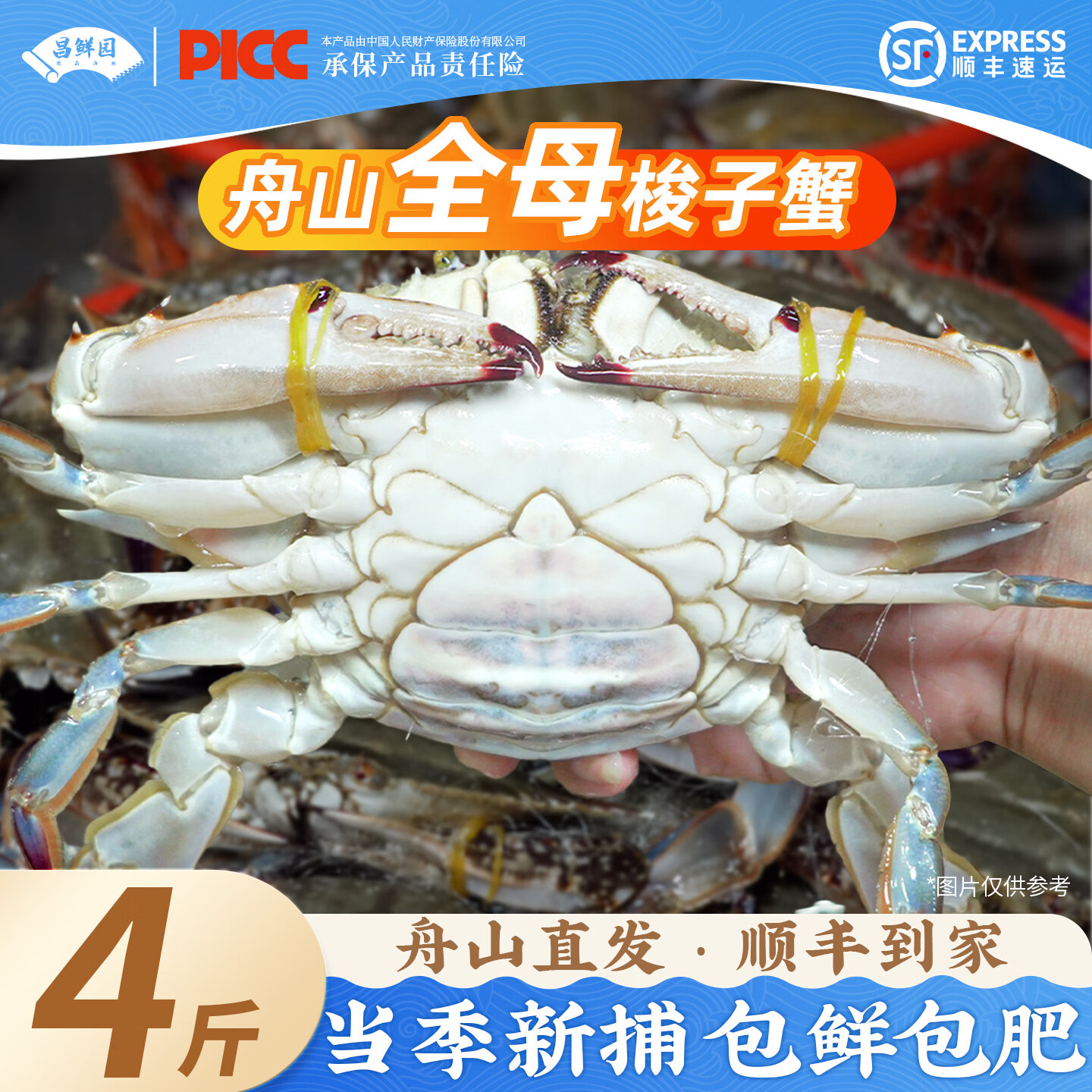 舟山梭子蟹特大母蟹鲜活冷冻野生超大螃蟹生鲜海鲜海蟹黄飞蟹白蟹 4-6两/只【净重4斤】