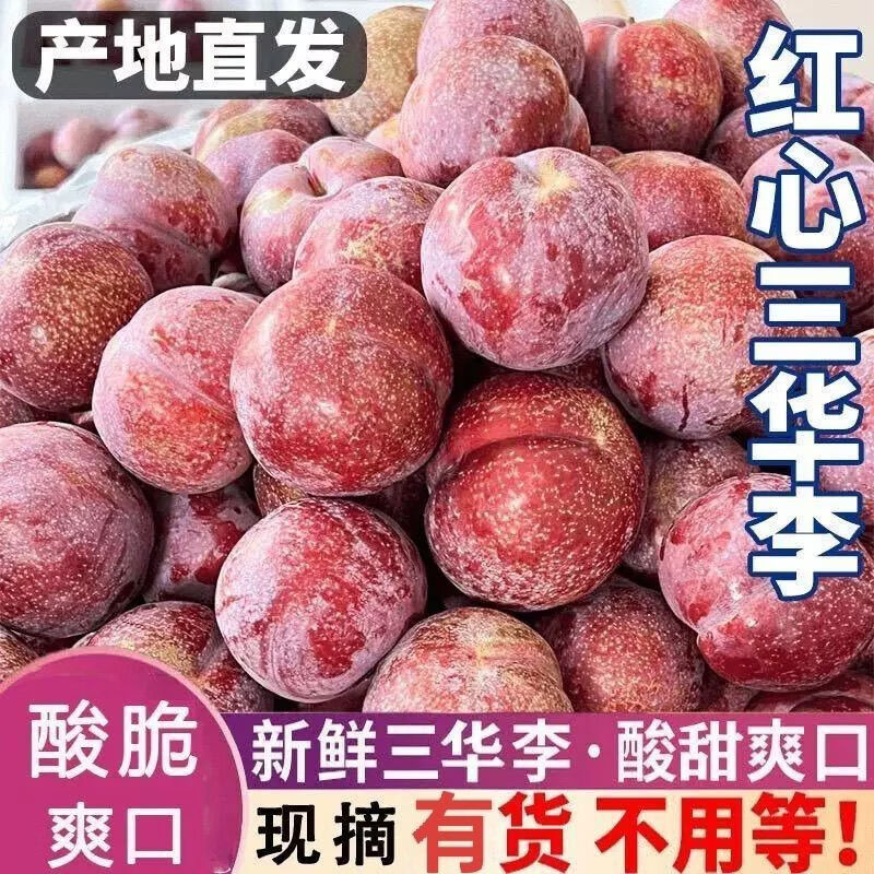 名绩正宗信宜钱排三华李新鲜当季水果现货孕妇酸甜脆包邮红心李子 净重特大果5斤