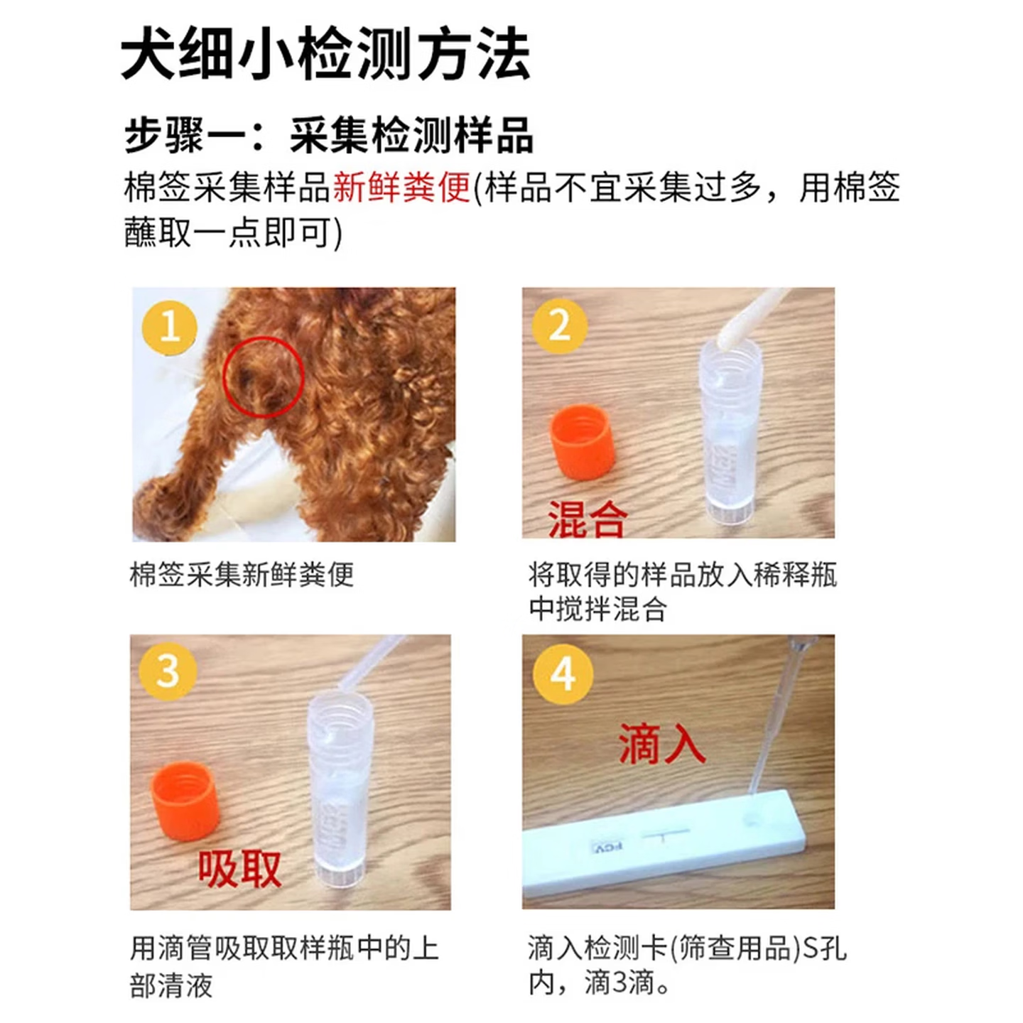 PLKWT普泰宠物猫咪狗狗犬瘟细小冠状三合一病毒测试纸检测卡猫瘟狗瘟猫杯状胶体金 犬细小（CPV Ag） 1片*1盒 （带兽药追溯码）