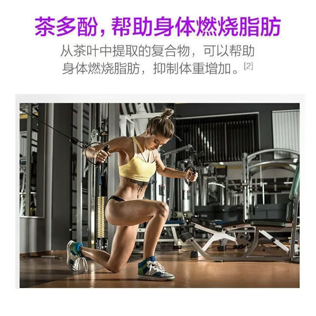 三栖虎左旋肉碱茶多酚荷叶片40片*1瓶运动燃脂瘦身搭档男女适用 [助力掉称]左旋肉碱1瓶 40片*1瓶