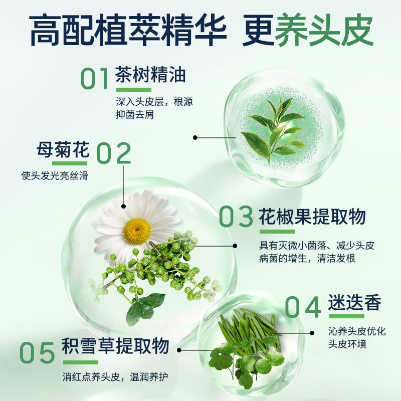 采乐去屑洗发水茶树去屑止痒控油蓬松头皮深层清洁抑菌洗发露洗头膏 【96%人回购】去屑净油油洗发水