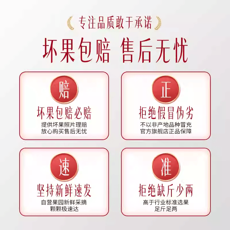 【超特价】哈斯秘鲁进口牛油果宝宝辅食鳄梨速发新鲜水果端午礼盒 中果【单果100-130g】果子小 普装 6个 送酱料包