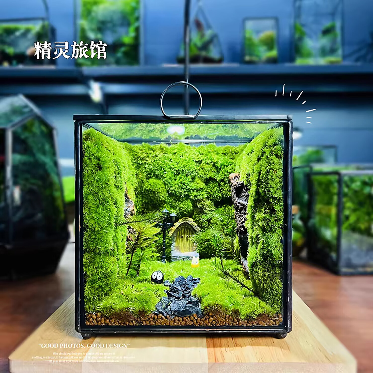 封茗网红趣味桌面绿植摆件苔藓微景观生态缸懒人养护生态闷养盒创意 【山间】
