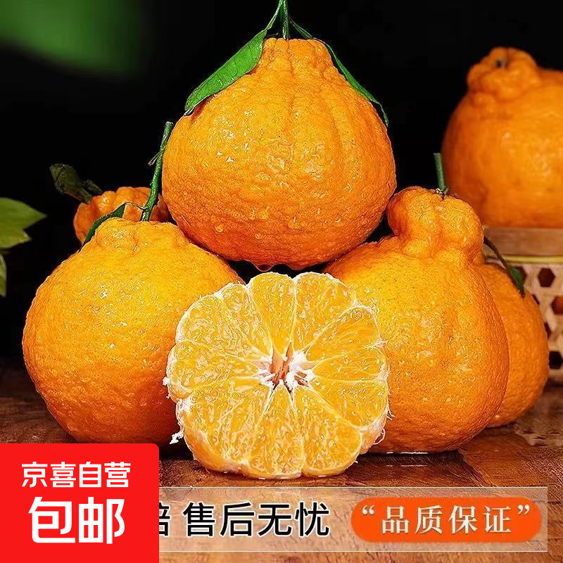 四川不知火丑橘当季新鲜水果桔子柑橘 带箱8斤70-80mm【中果】净重7.5斤