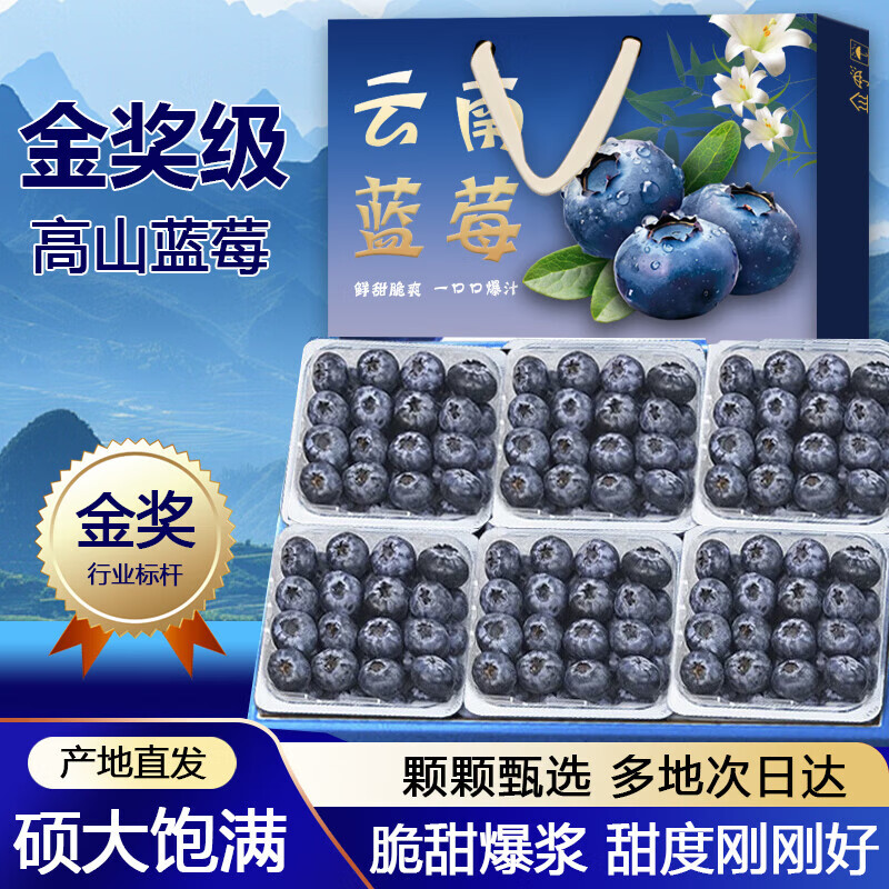 宗靖鲜云南花香蓝莓新鲜果【多地次日达】 孕妇应季国产水果礼品物盒 8盒装【单盒100-125g】 12mm+【尊选好果】
