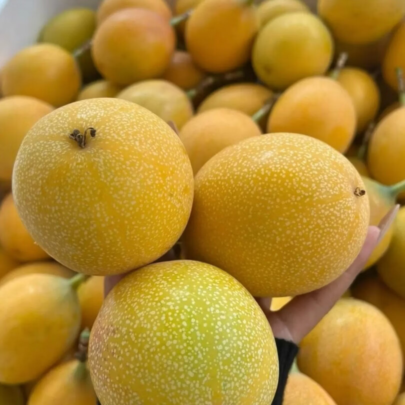 西双版纳热情果新鲜采摘水果纯甜无酸 5斤精品果 70-120克以上