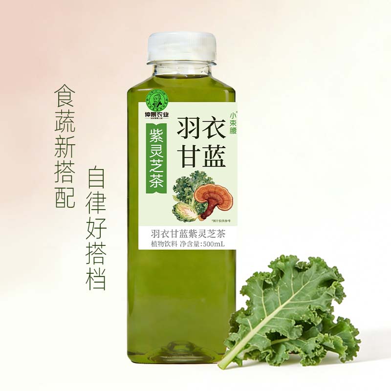 仲景小束腰羽衣甘蓝果汁紫灵芝茶植物饮料500ml便携装 羽衣甘蓝 5瓶