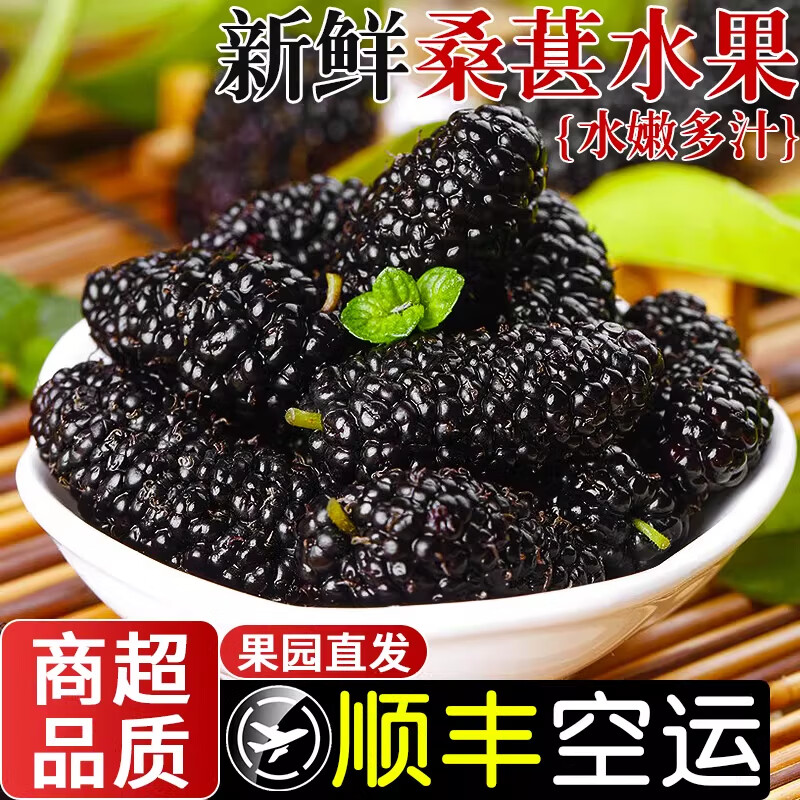 鲜级佳 新鲜桑葚鲜果现摘6斤【闪送-多地次日达】四川桑椹免洗水果泡酒 【巨划算-尝鲜装】净重2斤新鲜桑葚 精选装【80%客户选择-超划算】