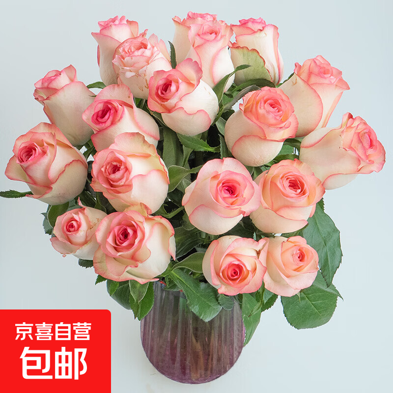 3-8妇女节随机色康乃馨10枝女神节鲜花生活鲜花昆明鲜花直发2 艾莎玫瑰10枝（40-45cm）