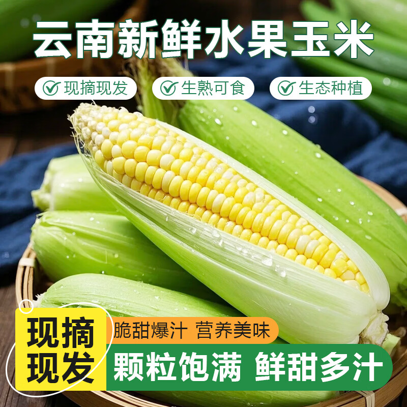 薏品甄鲜云南水果玉米 新鲜蔬菜嫩玉米带皮 产地直采 水果玉米4.5-5斤【4-5个】