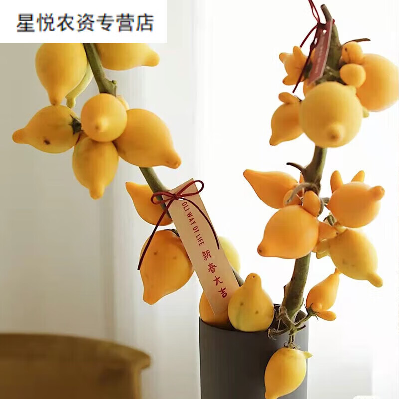 七流婉农资店五代同堂黄金果鲜切插花长寿福禄果五指茄果乳茄果牛 一支20cm左右3个果