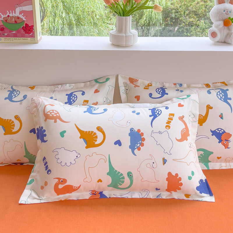 伊路卡磨毛四件套加厚斜纹印花床品床上三件套学生儿童床被套床单 百变恐龙 1.2米床 三件套  床单款 （被套150*200cm）