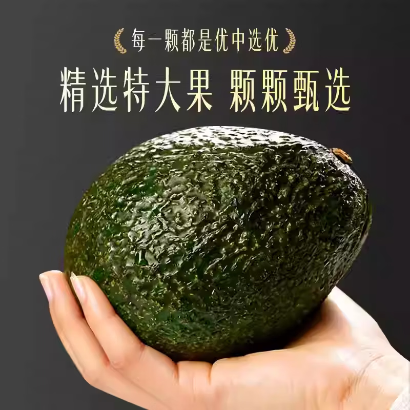 【超特价】哈斯秘鲁进口牛油果宝宝辅食鳄梨速发新鲜水果端午礼盒 中果【单果100-130g】果子小 普装 6个 送酱料包