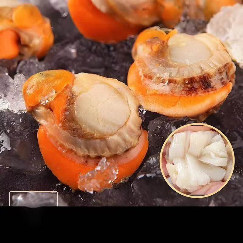 十里馋【新货上市】特大号扇贝肉纯野生海捕新鲜扇贝肉部分带黄冷冻海鲜 扇贝肉大号40-60规格 【500g】