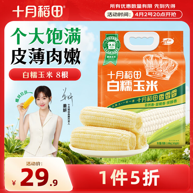 十月稻田 白糯玉米 8根 4.16斤 东北甜粘玉米 非转基因 低脂早餐