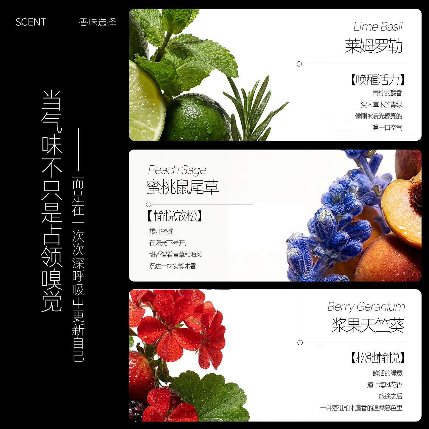 格兰大地莱姆罗勒香沐浴凝胶600ml香氛沐浴露清洁滋润保湿男女士持久留香 浆果天竺葵香沐浴凝胶600ml