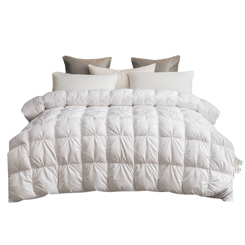 水星系列家纺100%羽绒被95白鹅绒被子静音被芯春秋季被单双人加厚保暖冬被学生 静音全棉羽绒被白色扭花款 200X230特厚冬被(填充2000克鹅绒)