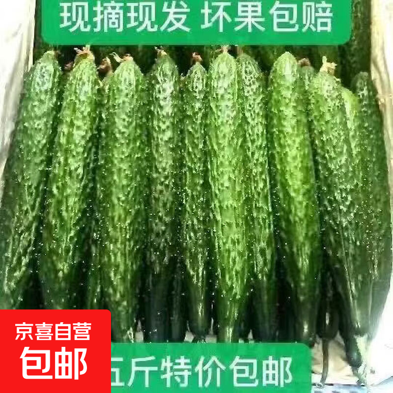 云南刺黄瓜新鲜现摘现发刺黄瓜可生吃蔬菜带刺应季绿芯清脆 云南农家自种刺黄瓜 4斤 带箱 净重3.7斤