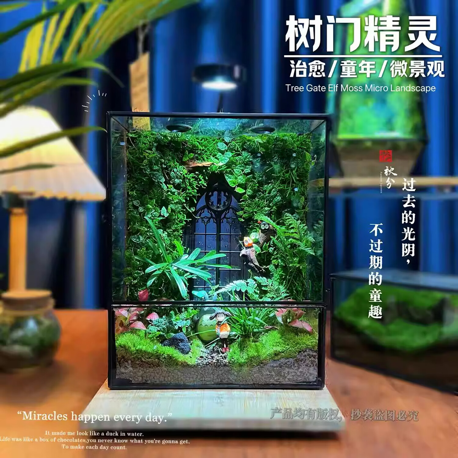 封茗网红趣味桌面绿植摆件苔藓微景观生态缸懒人养护生态闷养盒创意 【山间】