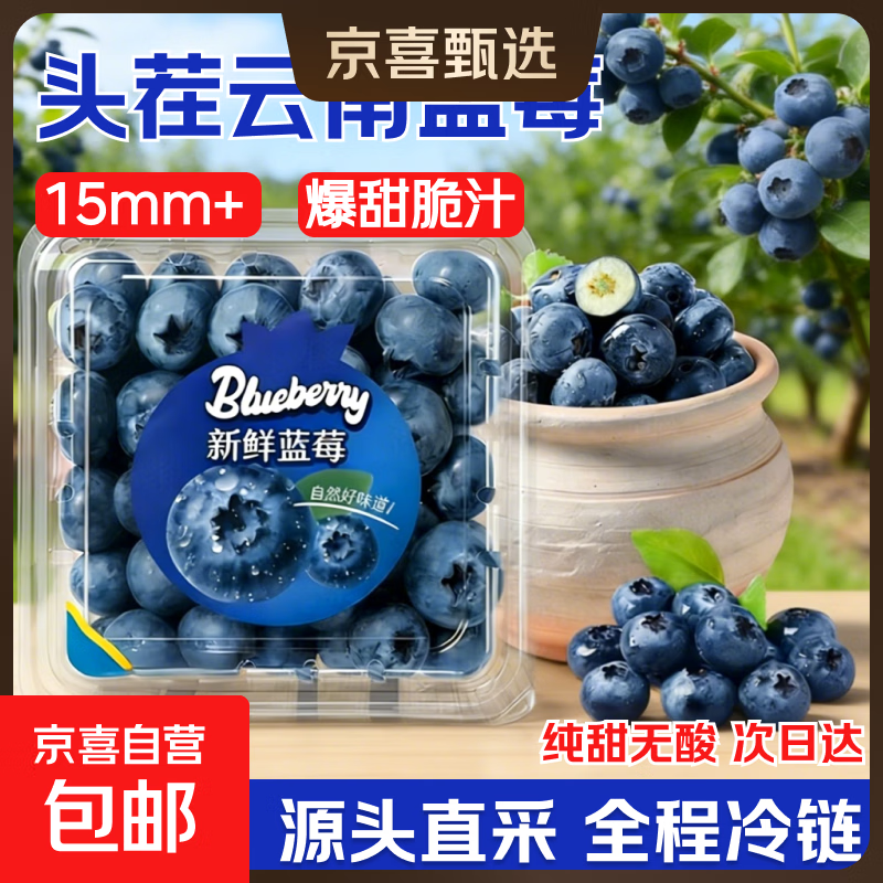 京喜加云南国产蓝莓新鲜蓝莓 精选水果生鲜新鲜采摘单盒净重115g 12盒装 多买多划算【115g/盒】 精选大果【单果18mm+】