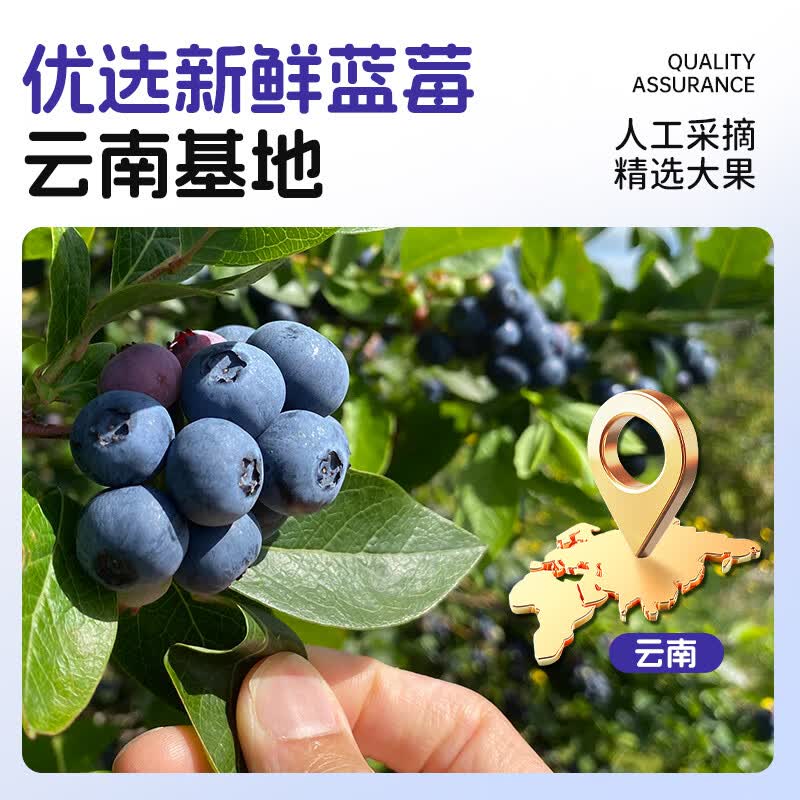 用户评价展示