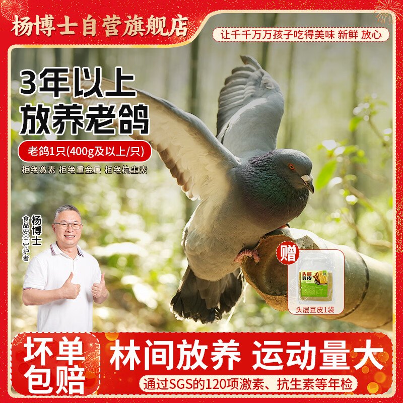 杨博士皖南散养3年老鸽子1只 净重400g及以上 林鸽土鸽子肉生鲜源头直发